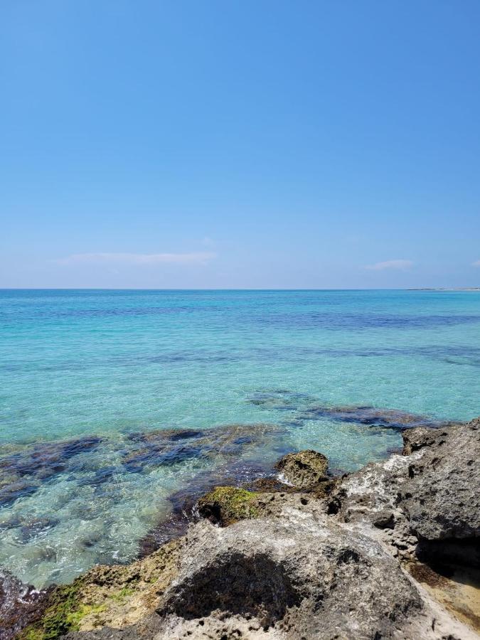 Appartamento Eleni 50M Spiaggia & Shopping Lido Marini Exteriör bild